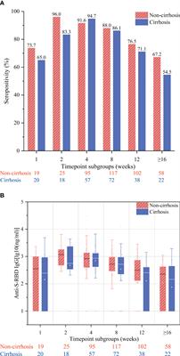 Antibody response and safety of inactivated SARS-CoV-2 vaccines in chronic hepatitis B patients with and without cirrhosis